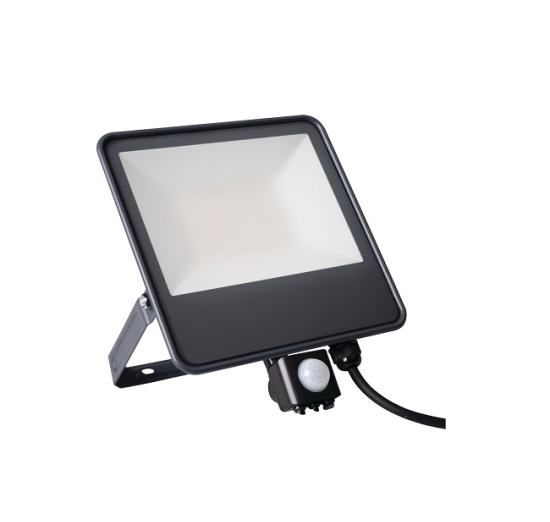 LED prožektorius IQ-LED-50W-NW-SE 4000K 6000lm su judesio davikliu